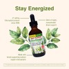 Herbs Etc. ChlorOxygen Chlorophyll Concentrate - Highly-Concentrated Energy Support -