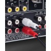 Universal 2 RCA to 2 RCA RCA Cable, Male Stereo