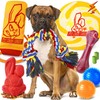 IMMADBUNY Heavy Duty Various Dog Chew Toys for Aggressive Chewers,