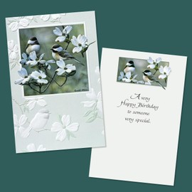 Pumpernickel Press Sweet Songbirds Deluxe Birthday Card Assortment – Set of 30