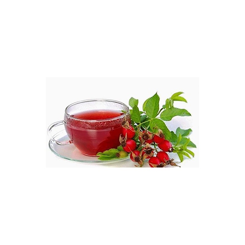 Rosehip - Rosa canina - 1 oz (28g) Sampler Size