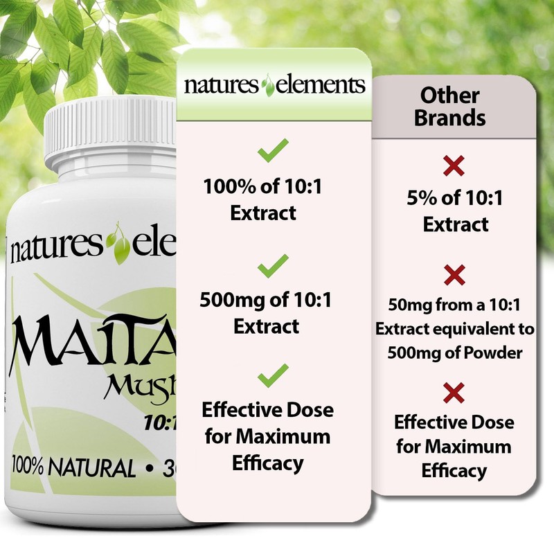 Natures Elements Maitake Mushroom – Pack of 3 – 10:1