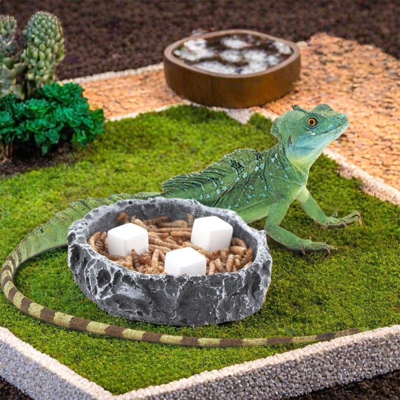 DQITJ 18 Pcs Small Reptile Calcium Stone Natural Calcium Mineral