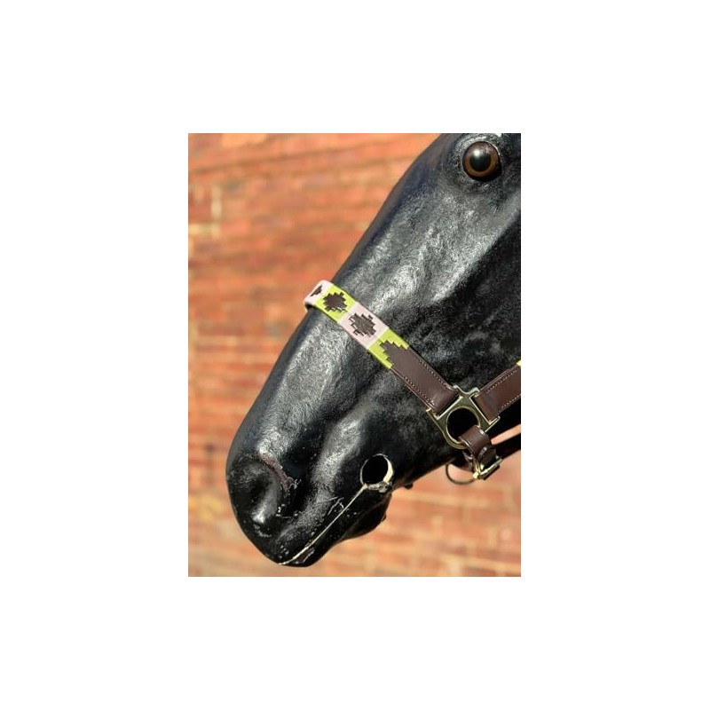 Argentina Polo Leather Horse Headcollar Halter, Embroidered, Rose Pink /Green