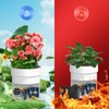 Sdstone Fireresistant Waterproof Flower Pot Diversion Safe with Fireproof Money