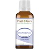 Pennyroyal Essential Oil 1 oz / 30 ml 100% Pure