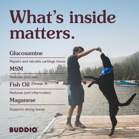 BUDDIO Advanced Hip & Joint Dog Supplement – High-Potency Glucosamine, Fish Oil, Vitamin E, Manganese – Tasty Chicken Liver Flavored Soft Chews, 90 Count – Vet Recommended for Enhanced Mobility