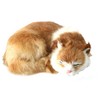 Cat Plush Realistic Lying Cat Cat Figurine Room Decor #5