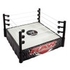 WWE RAW Superstar Ring