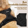 rabbitgoo Dog Harness No Pull with 2 Leash Clips, Adjustable