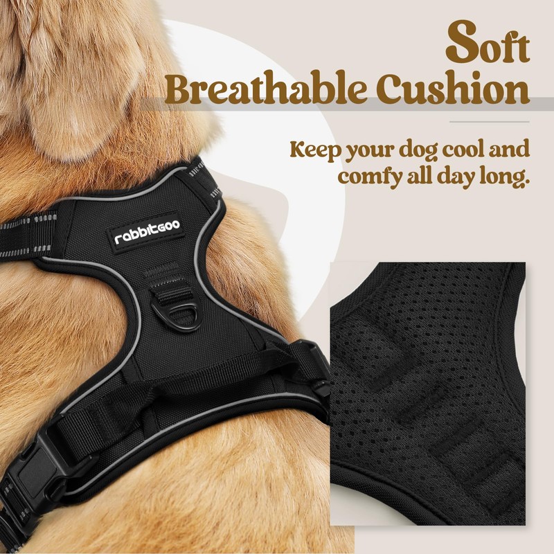rabbitgoo Dog Harness No Pull with 2 Leash Clips, Adjustable