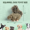 ALL FOR PAWS Interactive Dog Squirrel Plush Squeaky Toy -