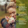 Omegas Veganos Vegan Omega Hierro Vitamina B12 Alimentación Vegana Vegetariana