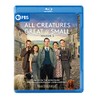 All Creatures Great & Small: Season 2 (Masterpiece)