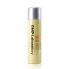 Cha & Park Propolis Ampoule Mist 100ml / 차앤박 프로폴리스