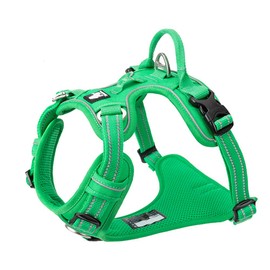 TRUE LOVE Dog Harness No Pull Nylon Reflective Pet Harness Adjustable Comfortable Control Step-in Brilliant Colors Truelove TLH56512 Grass Green