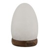 Rock Salt LAMP -USB - Mini Oval/Egg Shape