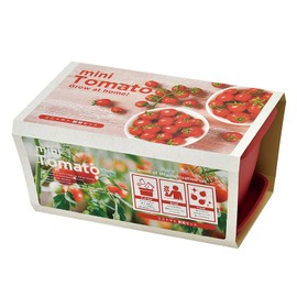 Seishin Pottery GD-93102 Household Garden, Easy Cultivation Kit, Mini Tomatoes, Indoors, Herbs, Vegetables, Cultivation Set, Approx. 9.4 x 5.9 inches (24 x 15 cm), Mother's Day Gift, Birthday