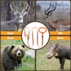 Deer Drag with Wider High-Strength Handle, 6.3ft Rope for Deer