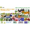 ECLECTIC EXCTRIC Herb Supplement Hosestail Sugina FFD 375mg 180 Capsules