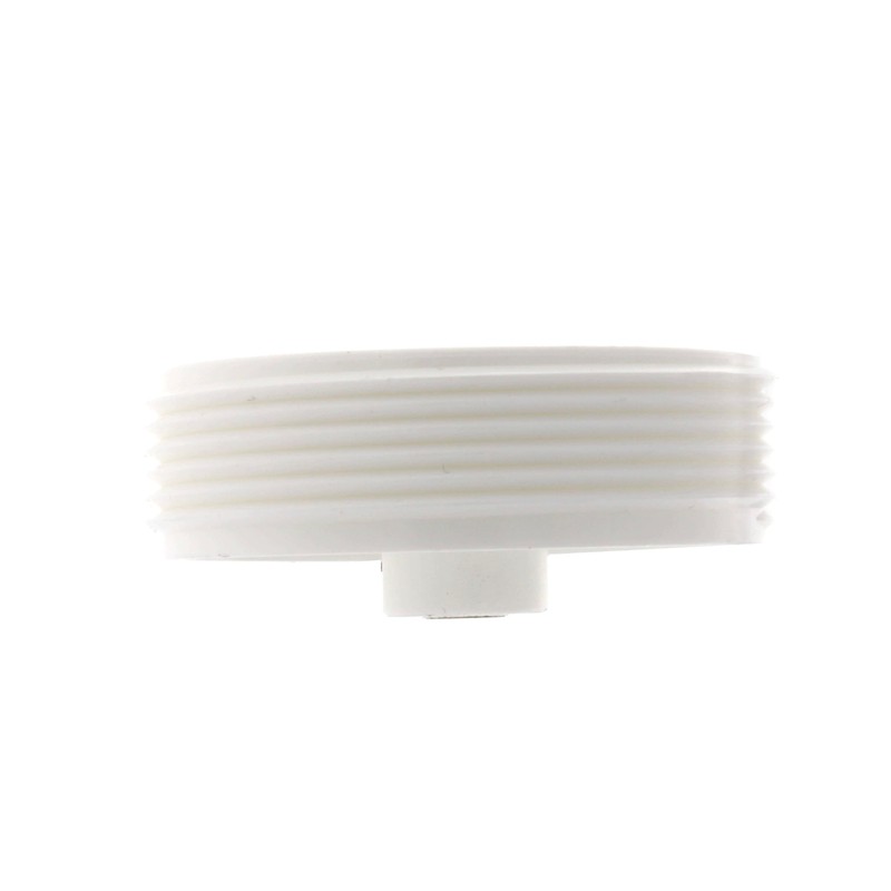 Sioux Chief 2 in. MPT in. PVC Clean-Out Plug