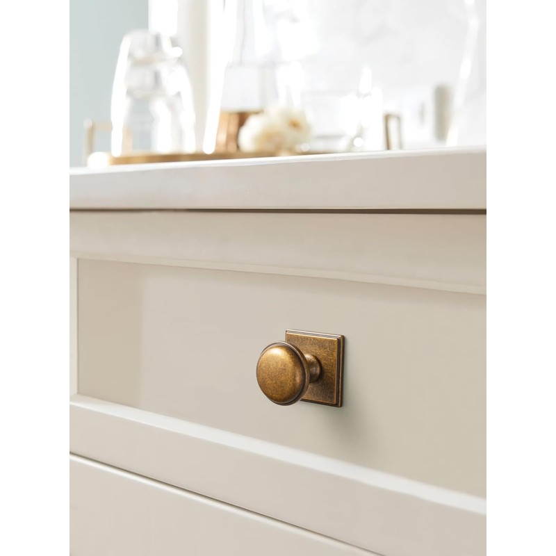 Goo-Ki Antique Brass Cabinet Knobs with Backplate Zinc Alloy Kitchen