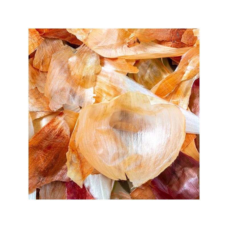 Cham Goods 양파껍질차 티백 50개입 2팩 Onion Skin Tea Bag