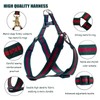 Elegant and Stylish Dog Harness and Leash,Durable Soft Neck and