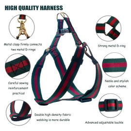 Elegant and Stylish Dog Harness and Leash,Durable Soft Neck and Chest Adjustable Pet Harness,Luxury Dog Harnesses and Dog Leashes Set Packing Gift for Medium Dogs