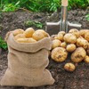 2-Pack Potato Storage Bag, Vegetable Storage Sack, Woven Sand Sack,