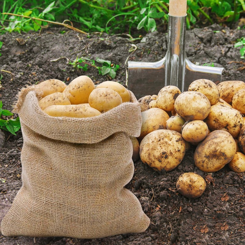 2-Pack Potato Storage Bag, Vegetable Storage Sack, Woven Sand Sack,