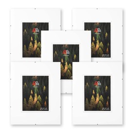 aFFa frames Frameless picture holder with clips for photos and posters, the frame, poster frame, plexiglass, HDF, picture frame 15 x 20 cm, set of 1 pack of 5