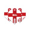 WINMAU Mega Standard England Dart Flights - 10 sets per
