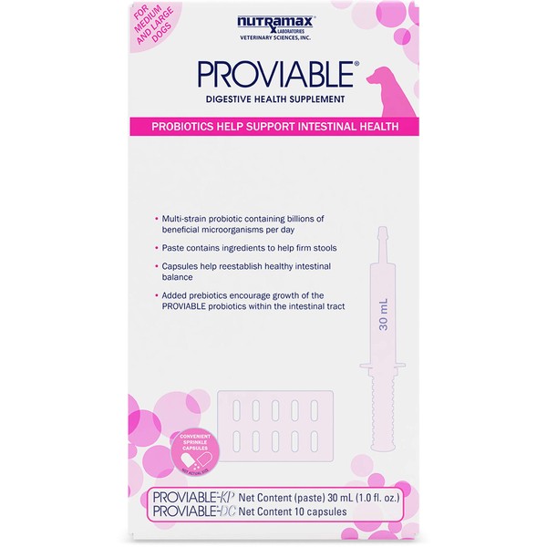 Nutramax Proviable Digestive Health Supplement Kit with Multi-Strain Probiotics and Prebiotics for Medium to Large Dogs - With 7 Strains of Bacteria, 30 mL Paste and 10 Capsules