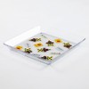 clear plate crossing