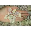 Fantasia Materials: 3 lbs Kunzite Rough Stones from Pakistan