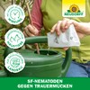 Neudorff SF Nematodes Against Fungus Gnats - 5 Million SF