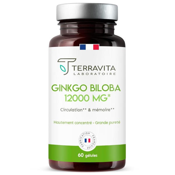 Gigggo Biloba 12000 mg | Optimal Bioavailability | Memory Booster – Concentration – Intellectual Performance – Blood Circulation | 60 Vegan Capsules of 240 mg | Made in France | Terravita