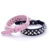 DOGGYZSTYLE Spiked Studded Rivet Leather Dog Collar for Cats Puppy
