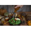 Dillman Farm Pumpkin Butter 15oz Jar (6 pack)
