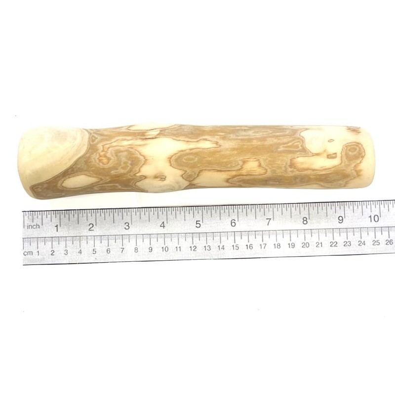 Extra Large Coffee Wood Chew Stick (Pack of 2) -