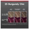 Schwarzkopf Brilliance Couture Collection 23 Burgundy Chic