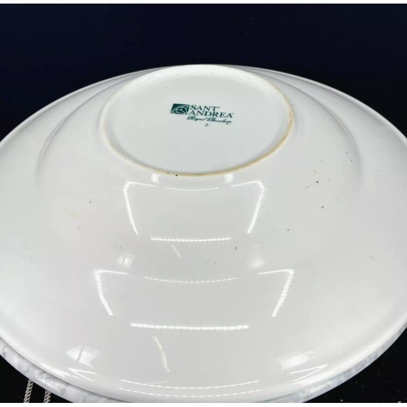 Sant'Andrea Royal Porcelain 12 inch Pasta Plate - (New)
