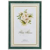 Radonna Living NP06-P-GR Photo Frame, Green, Postcard Size