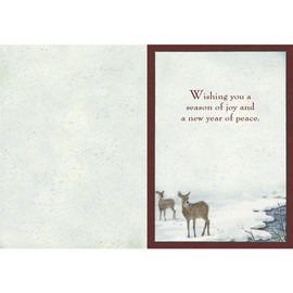 Legacy Publishing Group Deluxe Boxed Holiday Greeting Cards, Prince Of Peace (HBX23099)