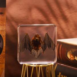 Taxidermy Bat, Real Bat Taxidermy Animals in Resin, Oddities Taxidermy, Resin Bat Taxidermy for Science Classroom Specimens Education, Great Gift for Taxidermy, Bat Decor, Oddities (3 * 3 * 0.8Inch)
