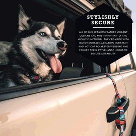 Wolfgang Man & Beast Premium Leash for Small Medium Large Dogs, Made in USA, Quetzal Print, Large (1 Inch x 6 Feet)