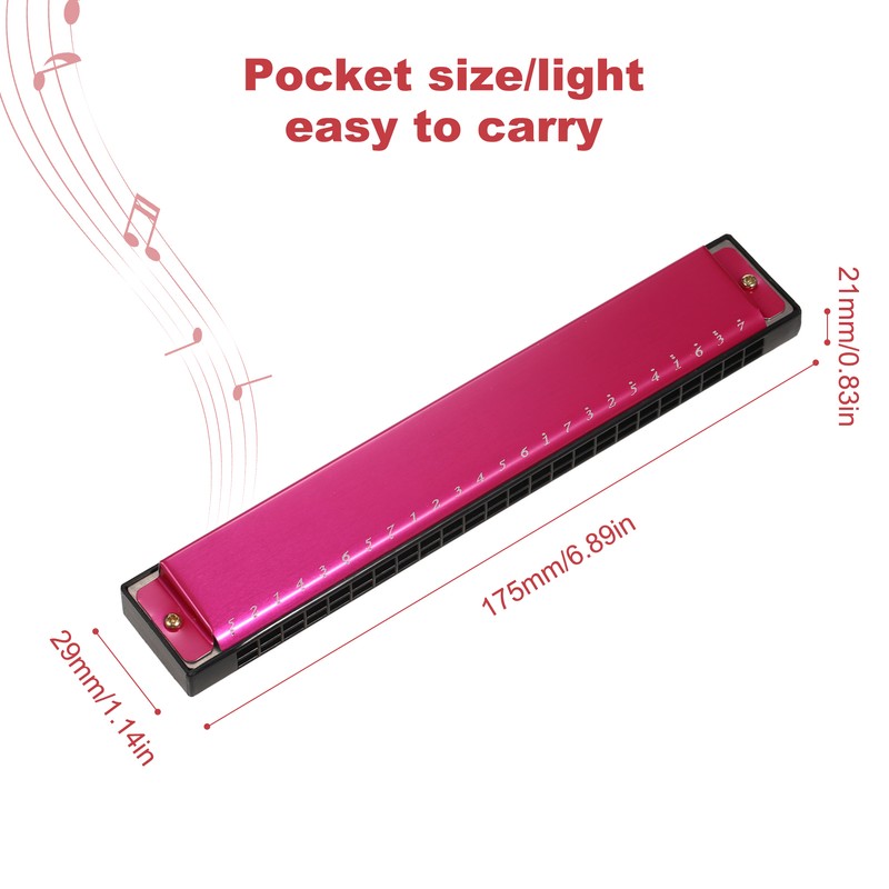 Harmonica Professional Harp Armonica Key of C 24 Hole Polyphony
