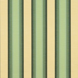 Sunbrella Sunbr 46" Stripes Premium 4856 Colonnade Juniper Fabric by the Yard
