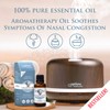 Optima Natura Eucalyptus Oil, 100% Natural Pure Essential Eucalyptus Oil,